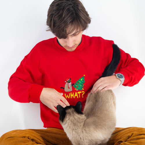 "What" Pullover