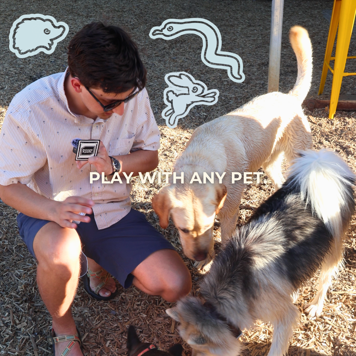 booze & pets - A drinking game made by bap.kat.