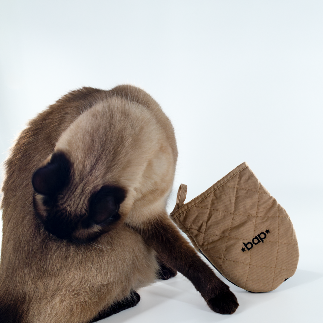 Bap Mitts