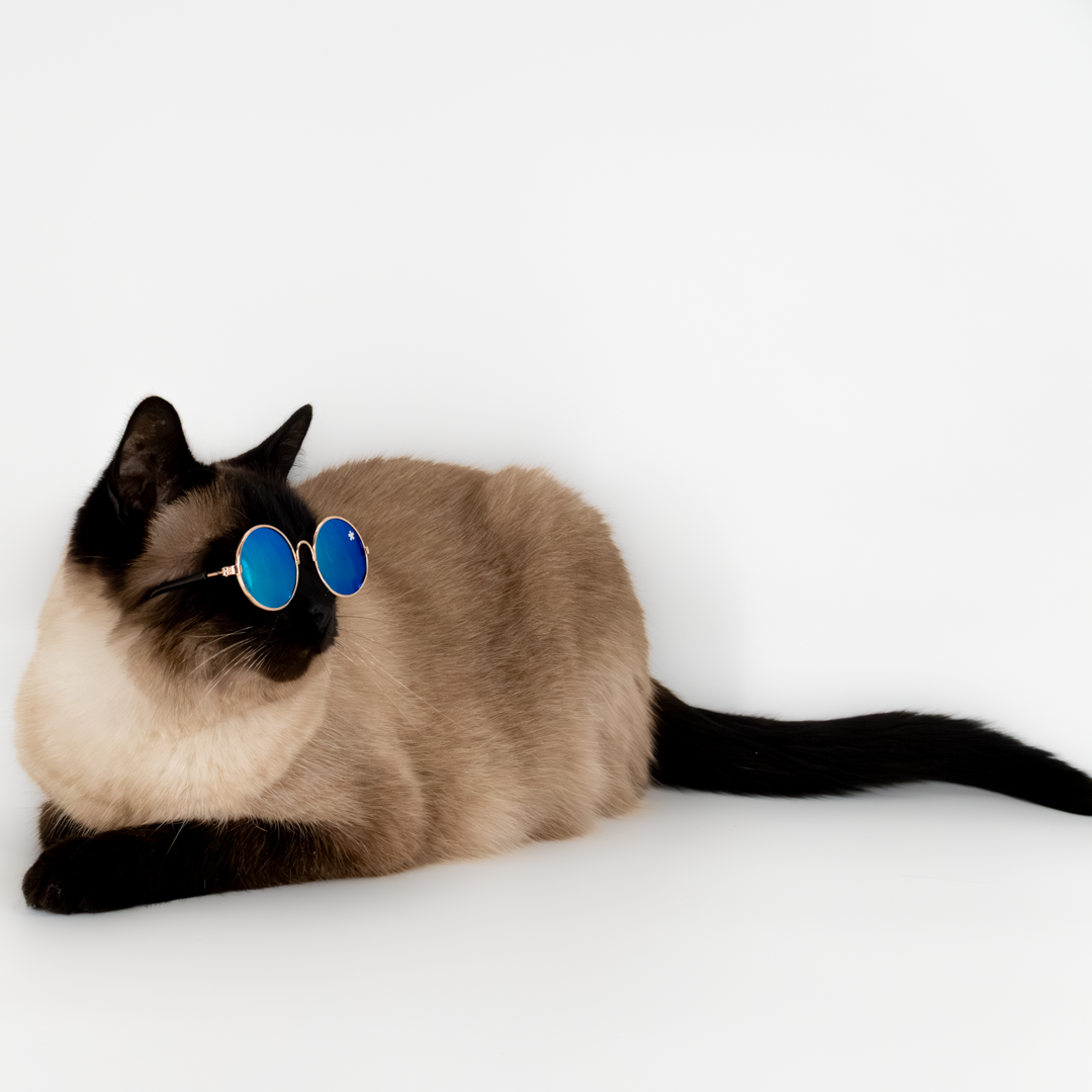 Pet Specs - Pet Sunglasses