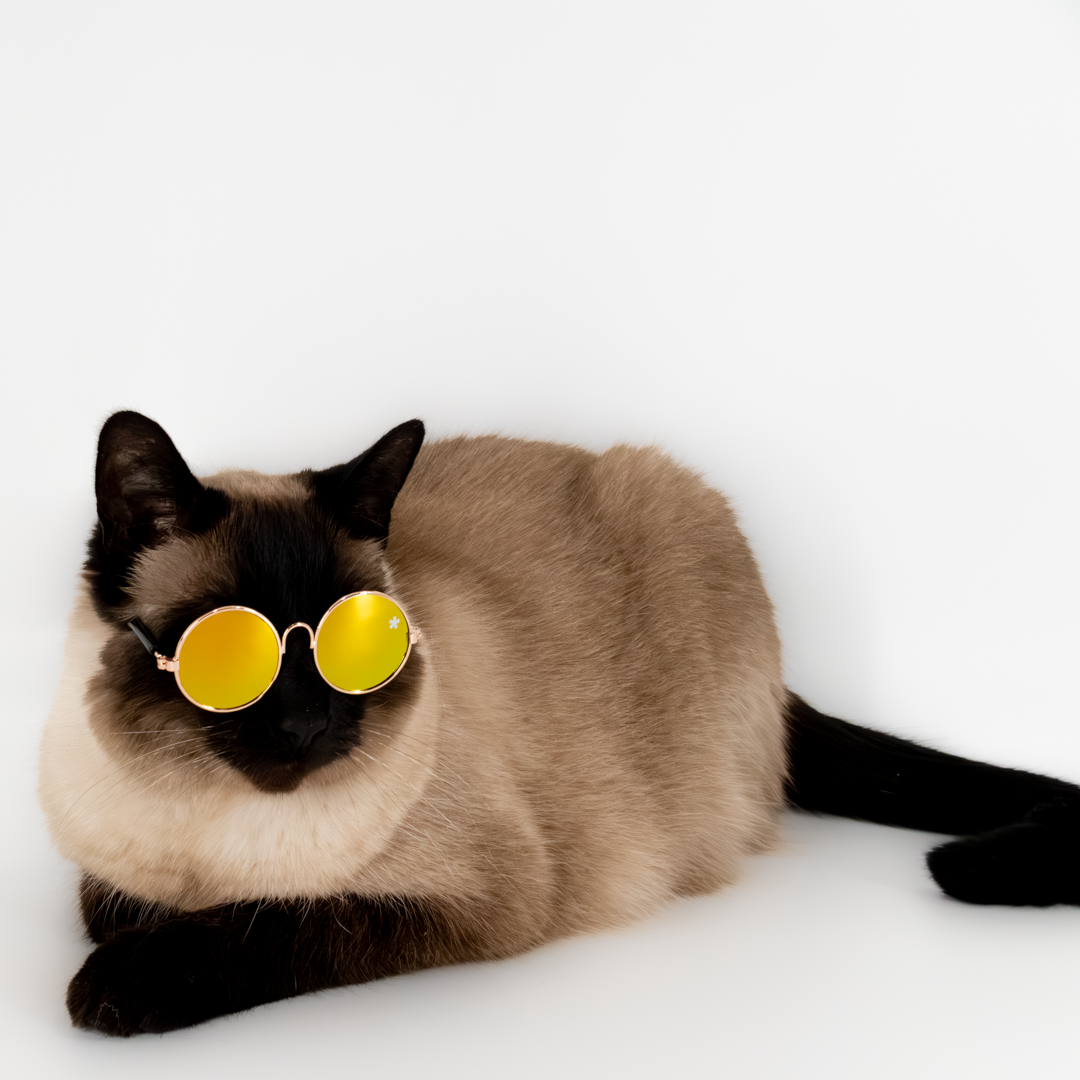 Pet Specs - Pet Sunglasses