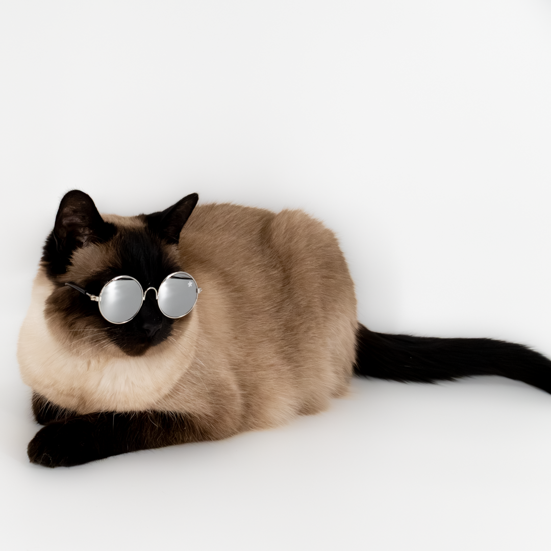 Pet Specs - Pet Sunglasses