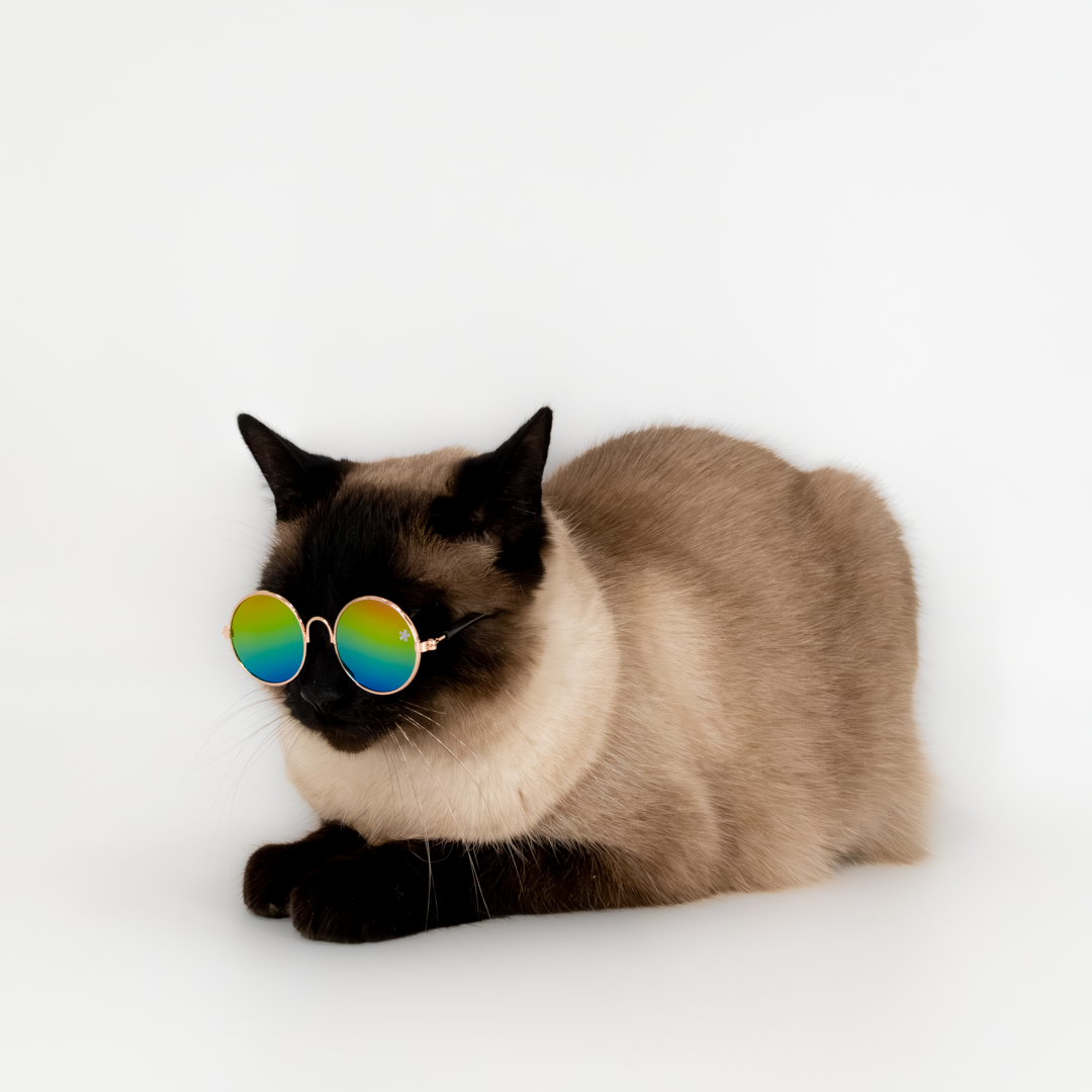 Pet Specs - Pet Sunglasses
