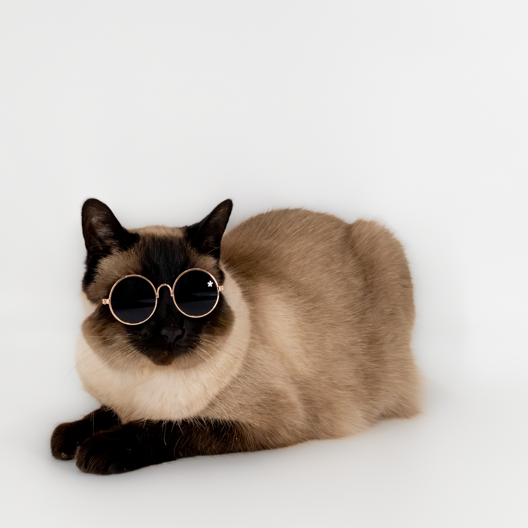 Pet Specs - Pet Sunglasses