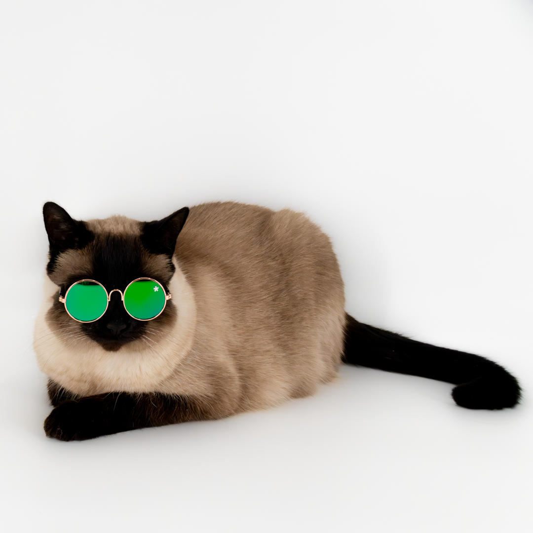 Pet Specs - Pet Sunglasses