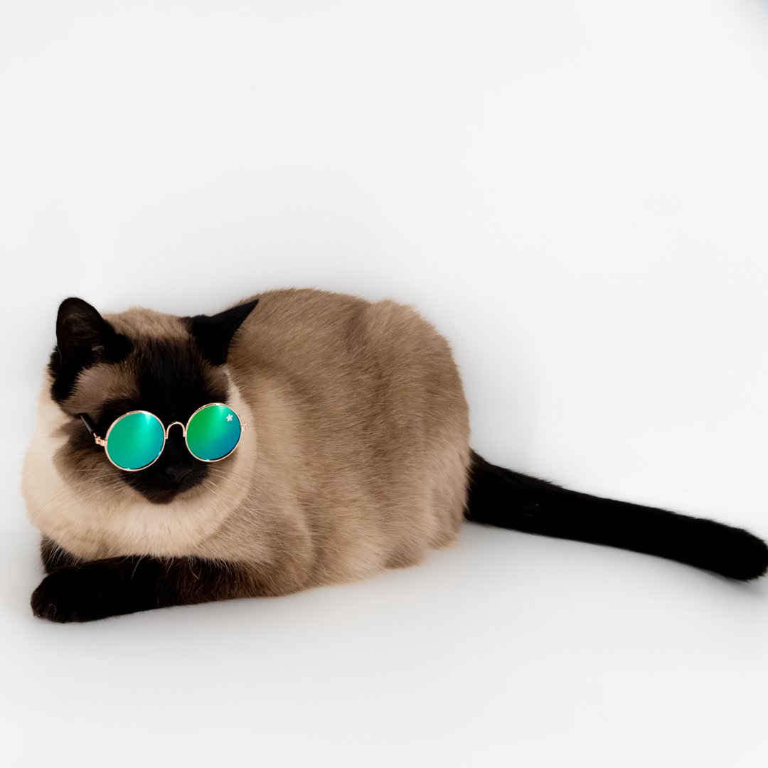 Pet Specs - Pet Sunglasses
