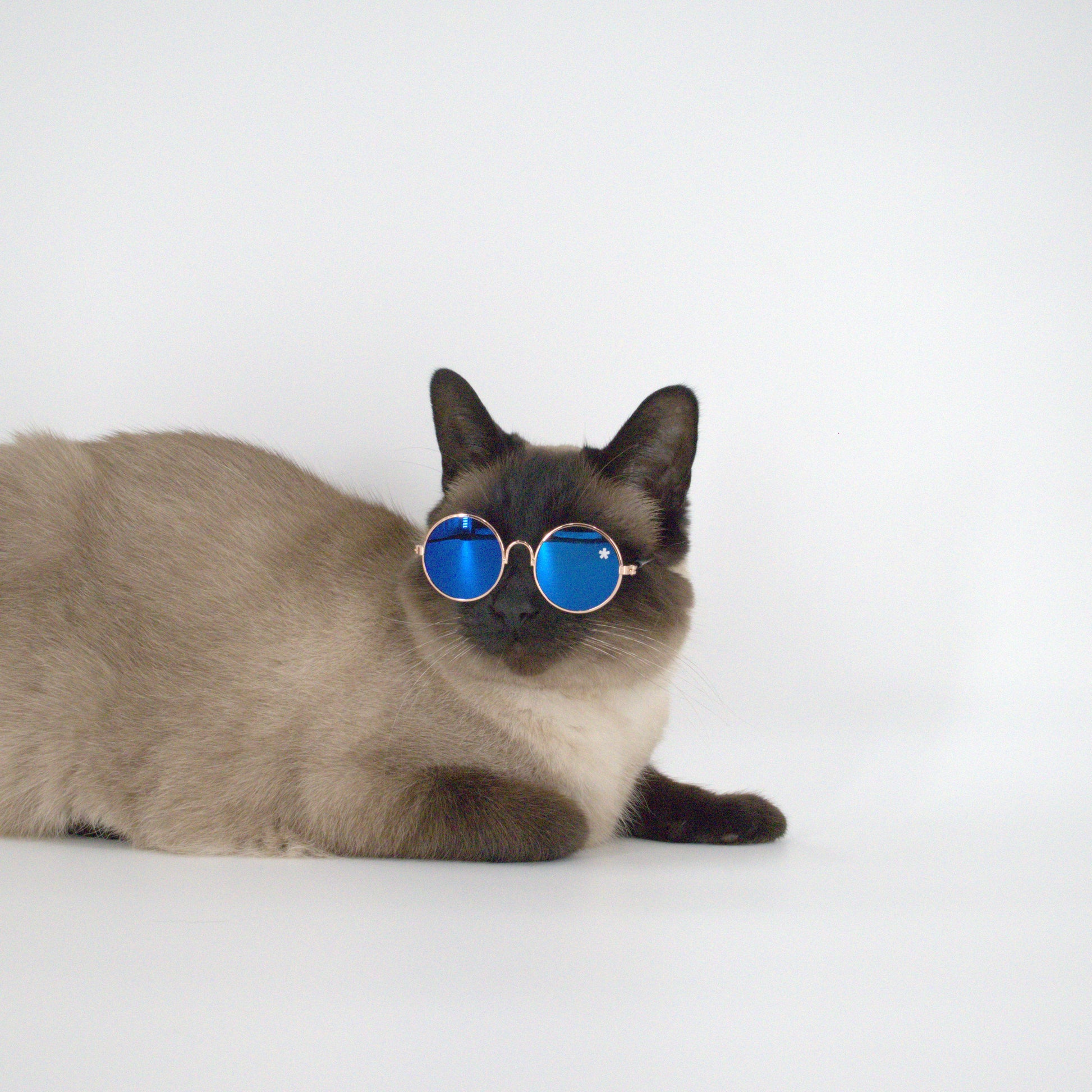 Pet Specs - Pet Sunglasses