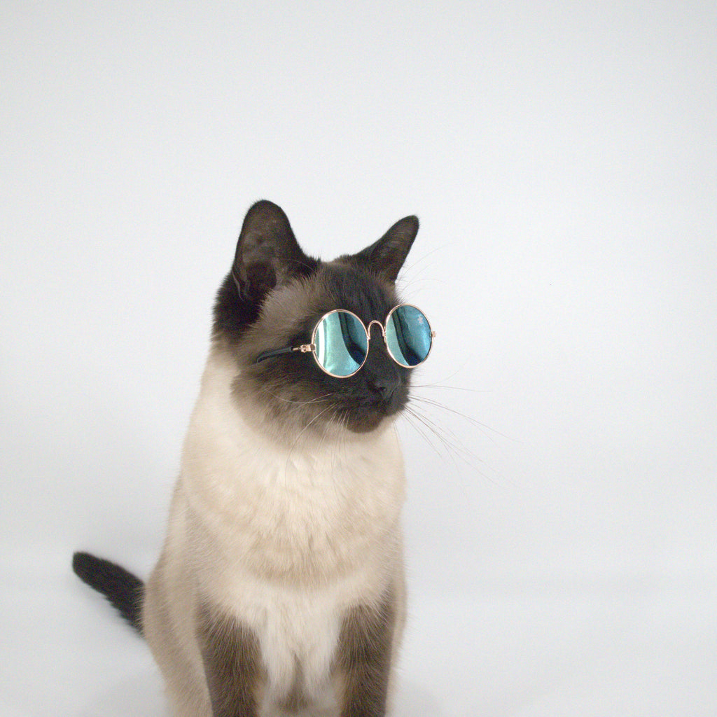 Pet Specs - Pet Sunglasses