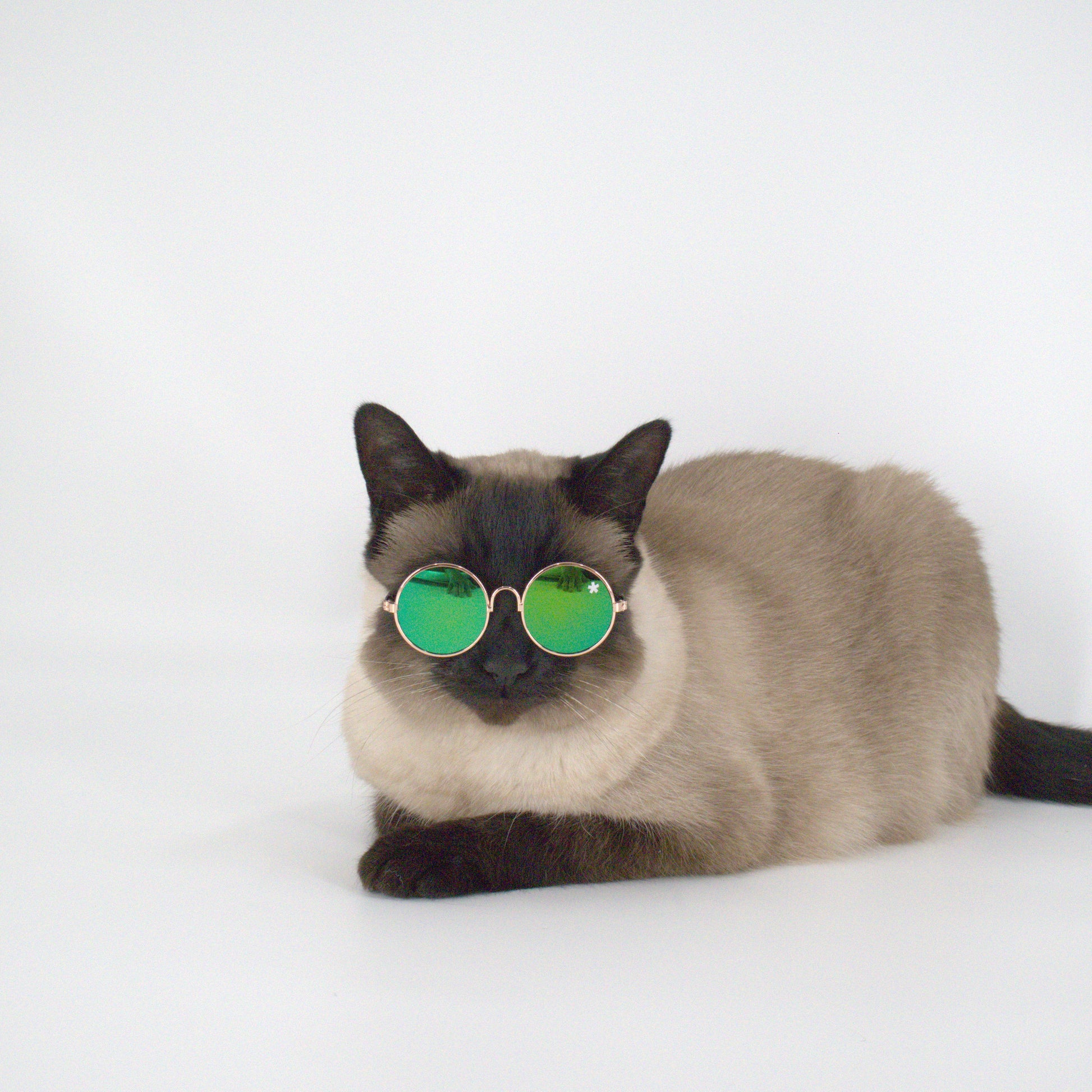 Pet Specs - Pet Sunglasses