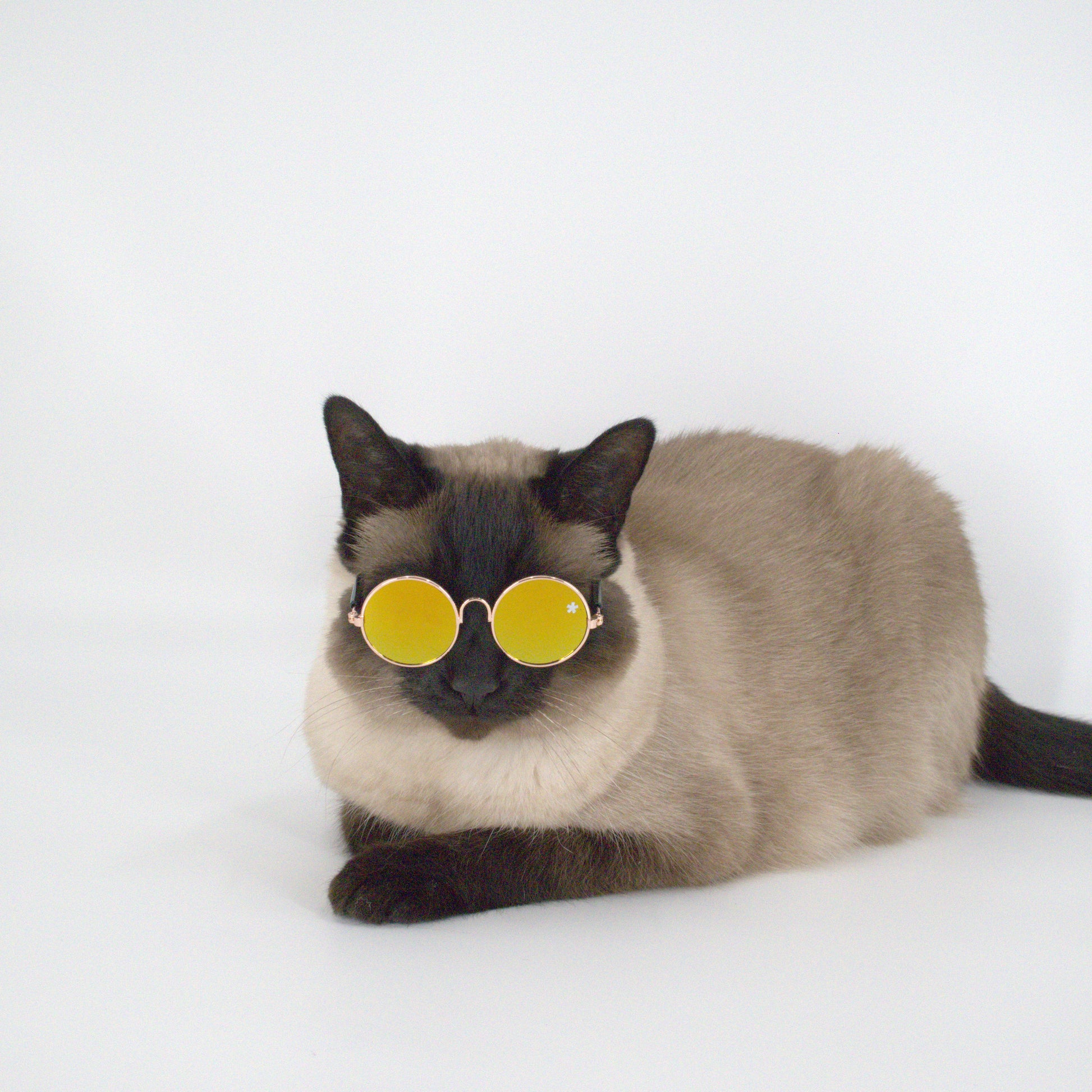 Pet Specs - Pet Sunglasses