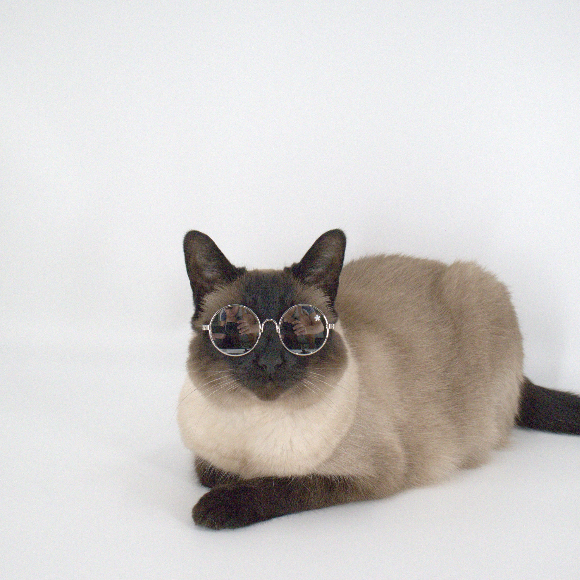 Pet Specs - Pet Sunglasses
