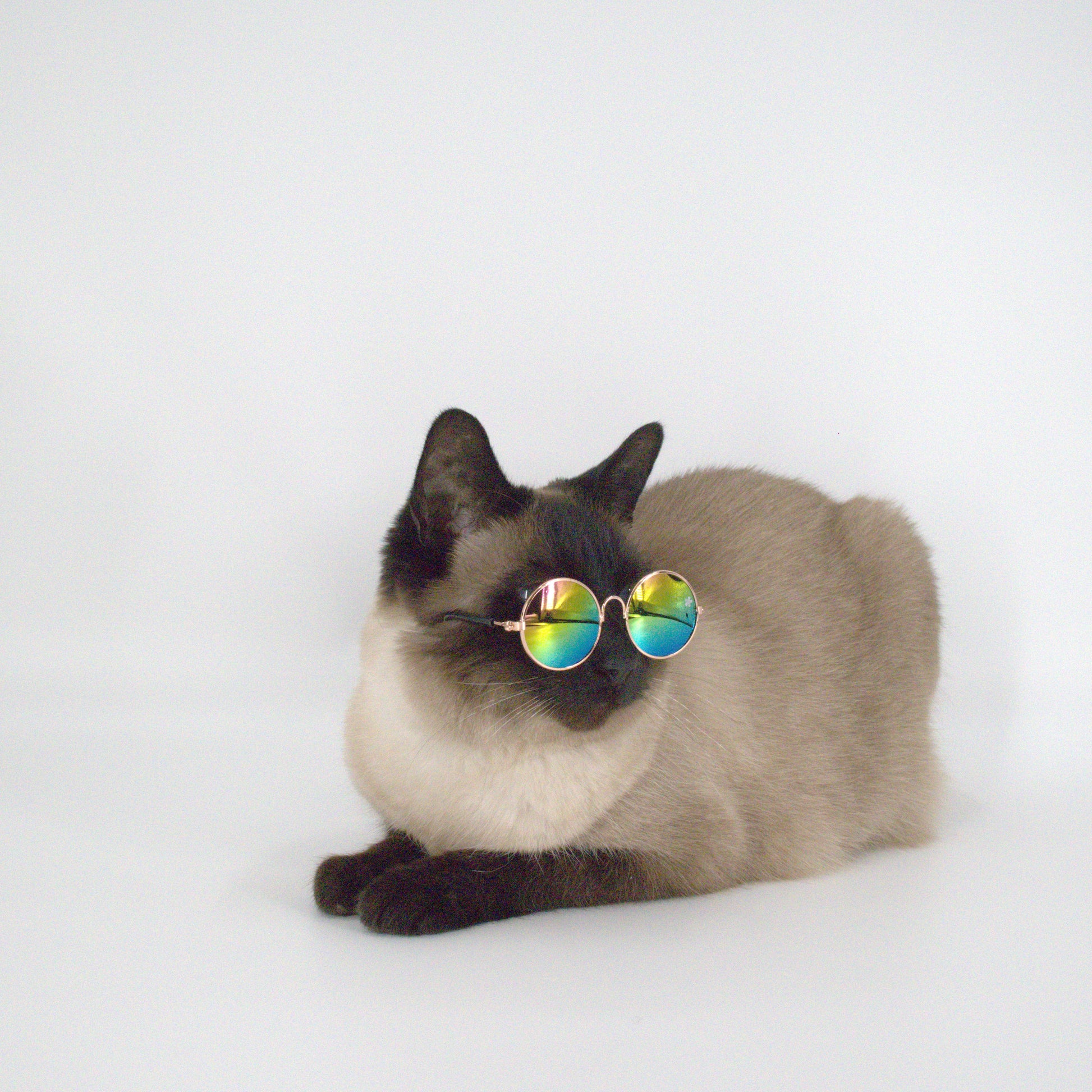 Pet Specs - Pet Sunglasses